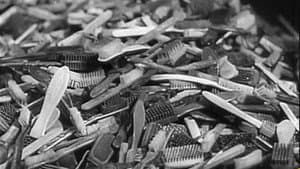 Shoah, les oubliés de l'histoire — foto 1