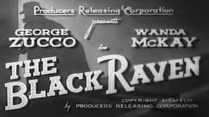 The Black Raven — foto 6