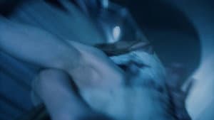 Avalanche — foto 1