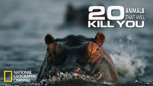 20 Animals That Will Kill You — foto 3