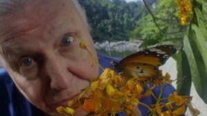 David Attenborough's Conquest of the Skies — foto 4