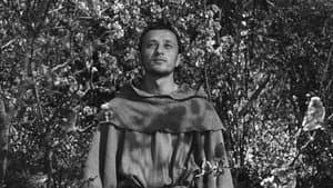 Francesco, giullare di Dio — foto 10