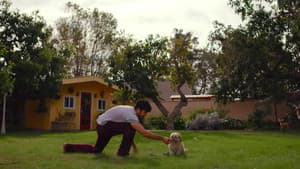 Doggy Bank — foto 5