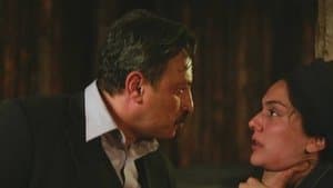 Episodio 29