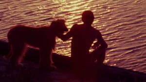 Boys in the Sand — foto 4
