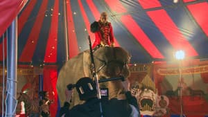 Episodio 7