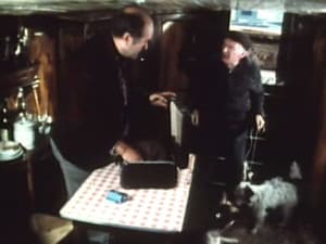Episodio 31