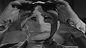 The Invisible Man's Revenge — foto 3