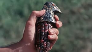 Disciples of the Crow — foto 6