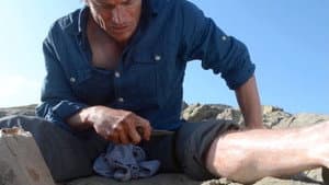 Survivor Type — foto 7