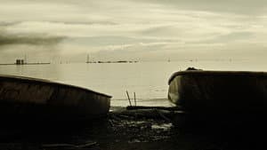 Petroleo — foto 1