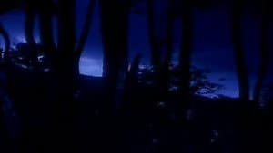 ちぎれた愛の殺人 — foto 2