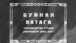 Буйная ватага — foto 1