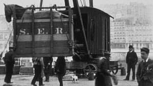 Embarquement d’un cheval — foto 1