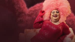 Chi Chi na gauči — foto 1