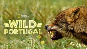 Wild Portugal — foto 5