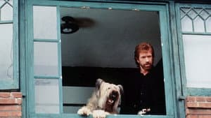 Top Dog — foto 3