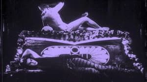 Helena — foto 6