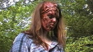 Backwoods Marcy — foto 2