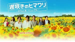 遅咲きのヒマワリ～ボクの人生、リニューアル～ — foto 2