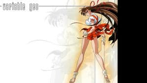 ヴァリアブル・ジオ — foto 2