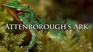 Attenborough's Ark — foto 2