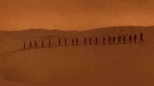 Dunas — foto 10