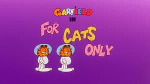 Solo para gatos