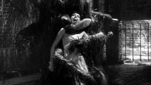 Womaneater — foto 2