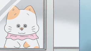 Episodio 17