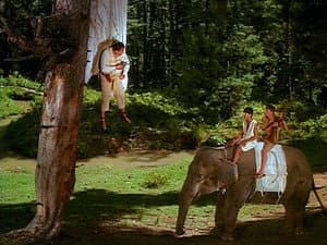 Episodio 11