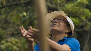 Tierra de mujeres — foto 1