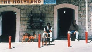 سجل اختفاء — foto 1