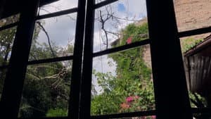 Cartas a mis padres muertos — foto 1