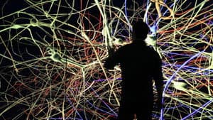 The Brain with David Eagleman — foto 1