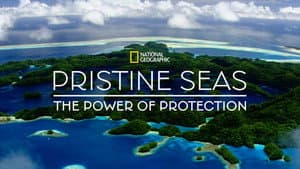 Pristine Seas: The Power of Protection — foto 6