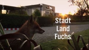 Stadt, Land, Fuchs! — foto 1