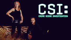 CSI: Las Vegas — foto 6