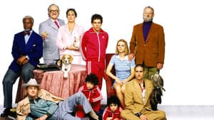 Los excéntricos Tenenbaums — foto 3