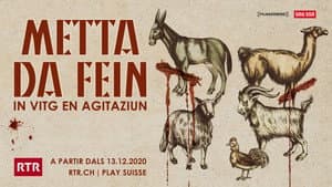 Metta da fein — foto 2