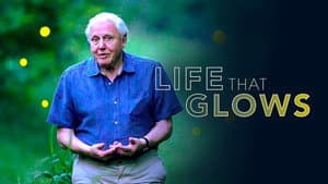 Attenborough's Life That Glows — foto 4