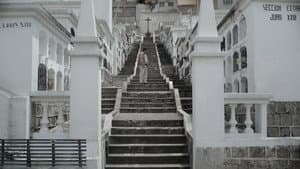 Sansón — foto 2