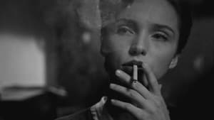 Curtiz — foto 5