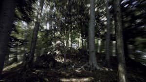 VERTIGO RUSH — foto 2