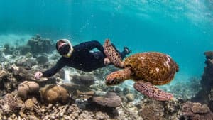 Ningaloo: la maravilla oceánica de Australia — foto 5