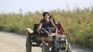 카브리올레 — foto 1