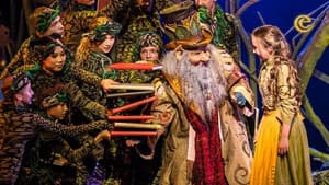 Sprookjessprokkelaar De Musical — foto 1