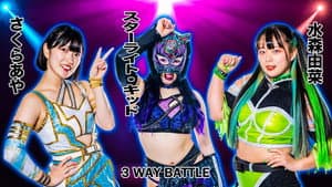 STARDOM in TOKUSHIMA〜すだちくん森のシアター大会 — foto 6