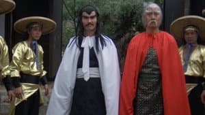 Hiena salvaje II — foto 5