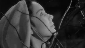 La canción de Bernadette — foto 4